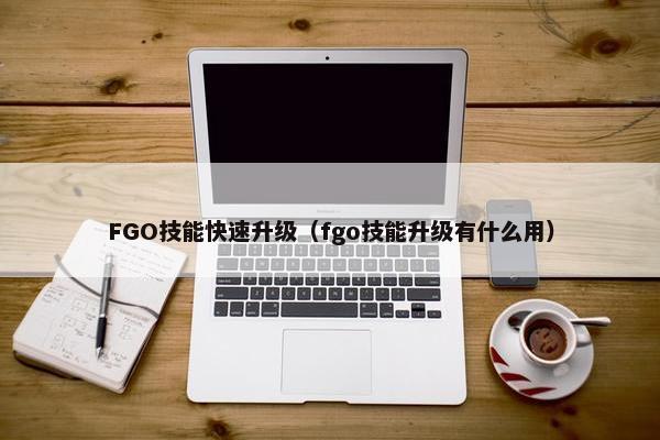 FGO技能快速升级（fgo技能升级有什么用）