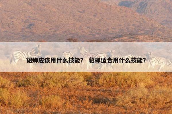 貂蝉应该用什么技能？ 貂蝉适合用什么技能？