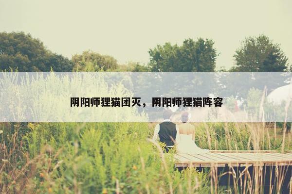 阴阳师狸猫团灭，阴阳师狸猫阵容