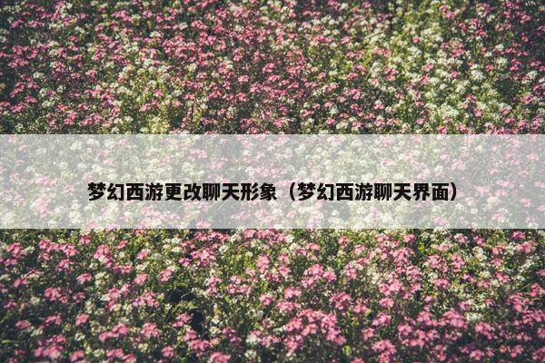 梦幻西游更改聊天形象（梦幻西游聊天界面）