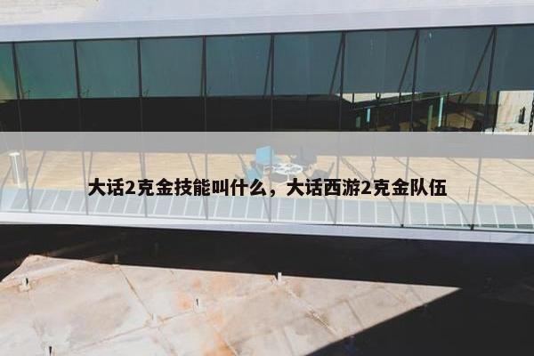 大话2克金技能叫什么，大话西游2克金队伍
