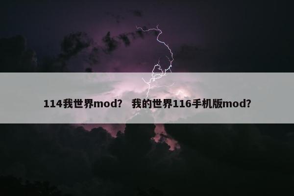 114我世界mod？ 我的世界116手机版mod？