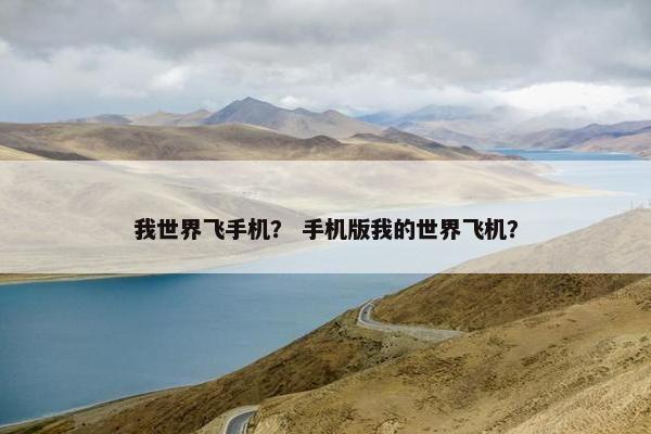 我世界飞手机？ 手机版我的世界飞机？