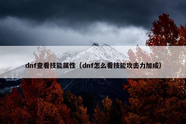 dnf查看技能属性（dnf怎么看技能攻击力加成）