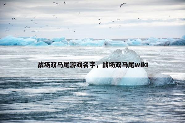战场双马尾游戏名字，战场双马尾wiki