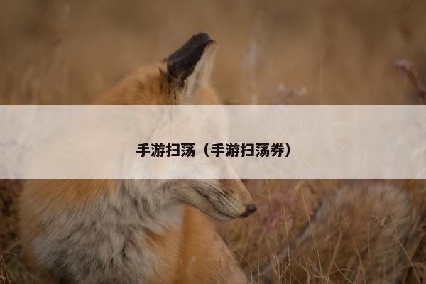 手游扫荡（手游扫荡券）