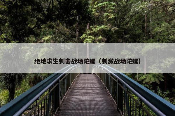 绝地求生刺击战场陀螺（刺激战场陀螺）