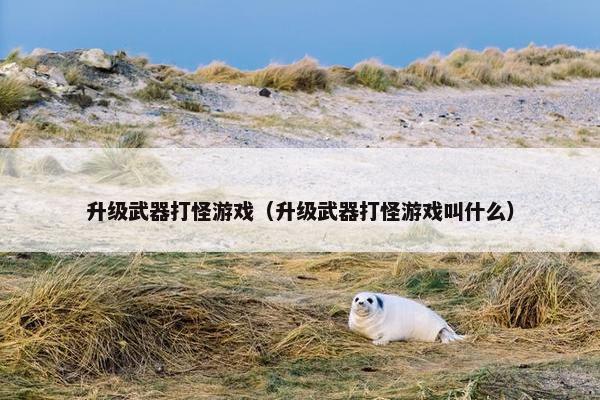 升级武器打怪游戏（升级武器打怪游戏叫什么）