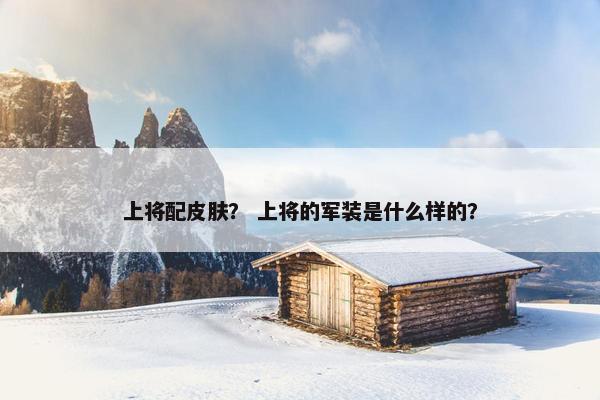 上将配皮肤？ 上将的军装是什么样的？