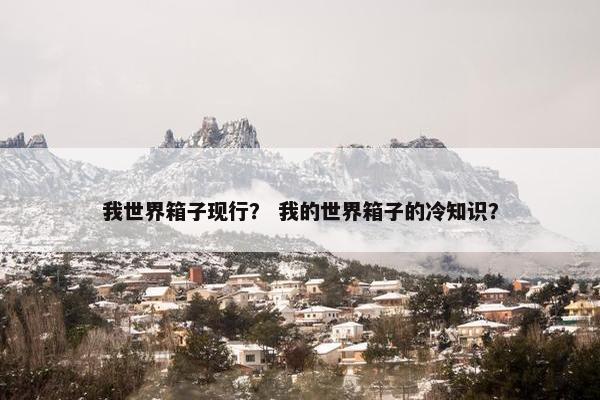 我世界箱子现行？ 我的世界箱子的冷知识？