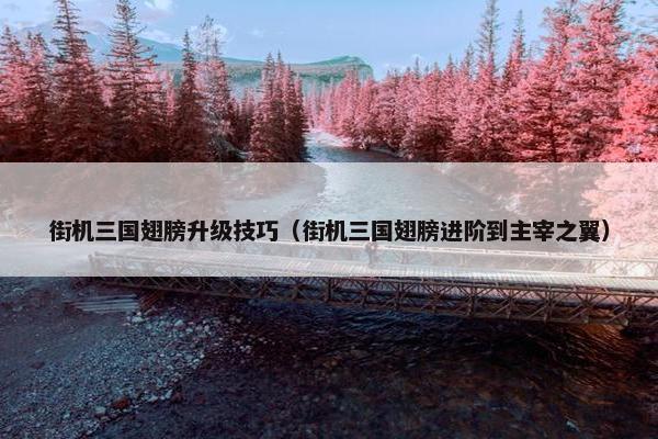 街机三国翅膀升级技巧（街机三国翅膀进阶到主宰之翼）