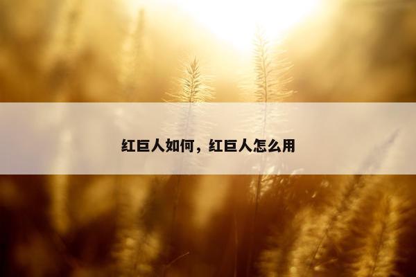 红巨人如何，红巨人怎么用