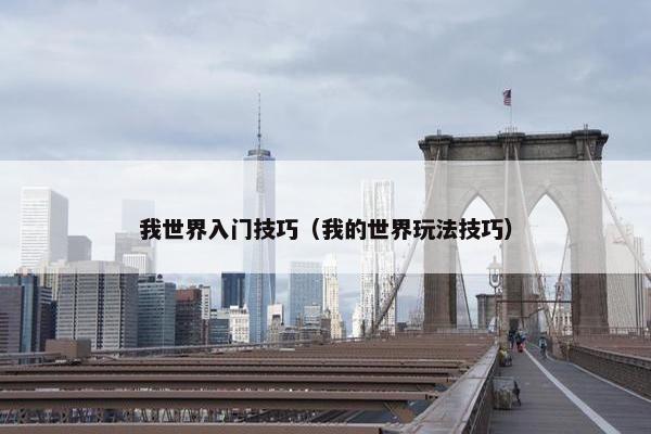 我世界入门技巧（我的世界玩法技巧）