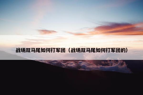 战场双马尾如何打军团（战场双马尾如何打军团的）