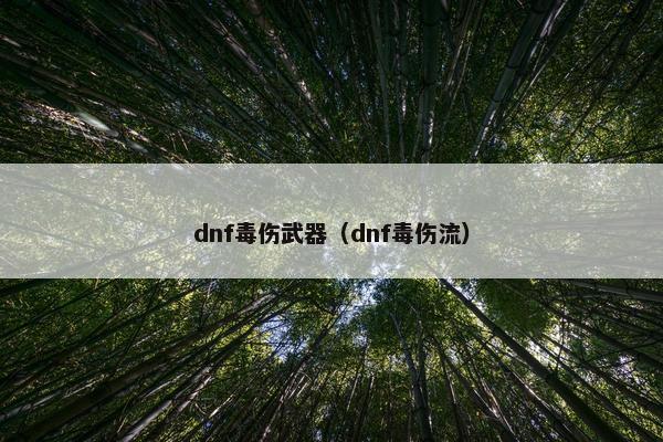 dnf毒伤武器（dnf毒伤流）
