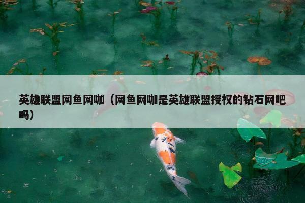 英雄联盟网鱼网咖（网鱼网咖是英雄联盟授权的钻石网吧吗）
