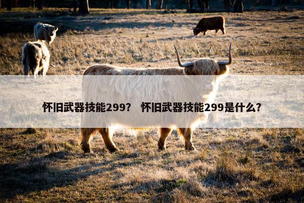 怀旧武器技能299？ 怀旧武器技能299是什么？