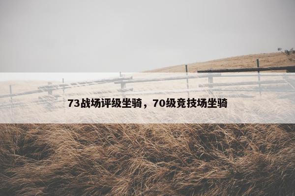 73战场评级坐骑，70级竞技场坐骑