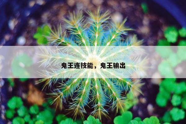 鬼王连技能，鬼王输出