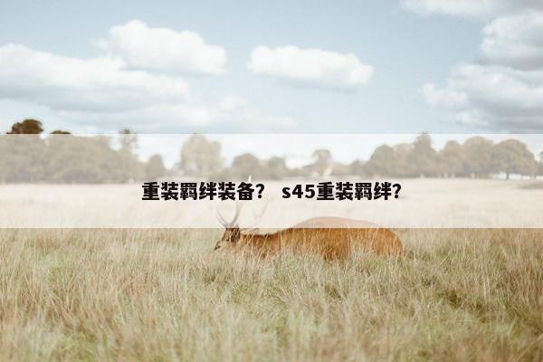 重装羁绊装备？ s45重装羁绊？