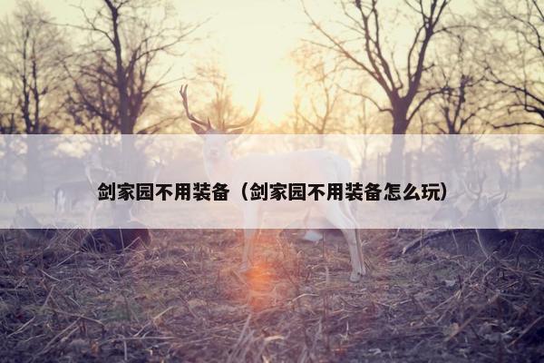 剑家园不用装备（剑家园不用装备怎么玩）