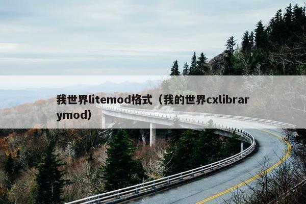 我世界litemod格式（我的世界cxlibrarymod）