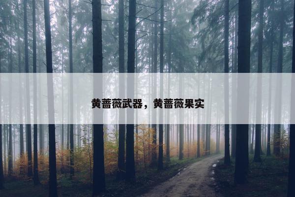 黄蔷薇武器，黄蔷薇果实