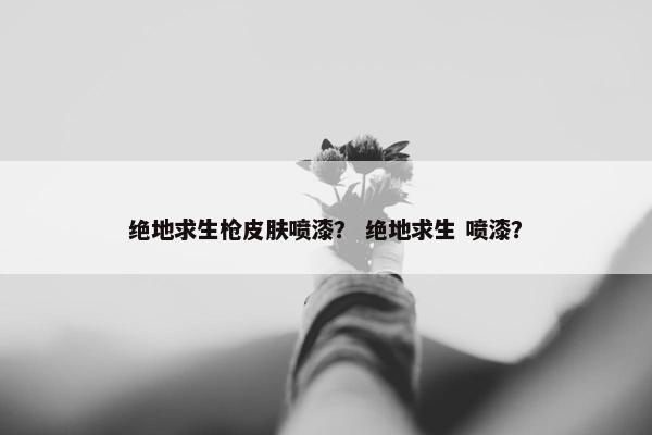 绝地求生枪皮肤喷漆？ 绝地求生 喷漆？