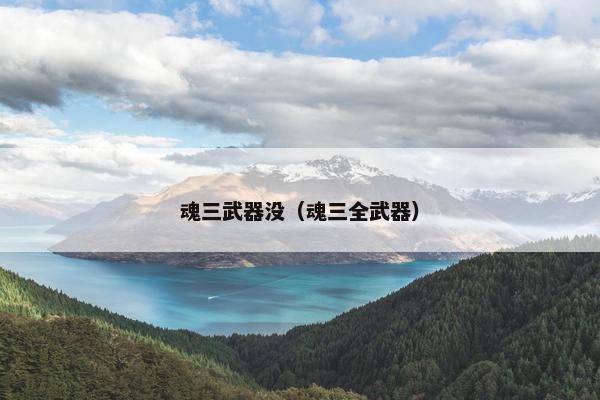 魂三武器没（魂三全武器）