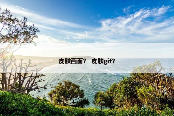 皮肤画面？ 皮肤gif？
