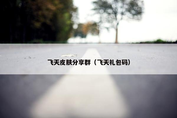 飞天皮肤分享群（飞天礼包码）