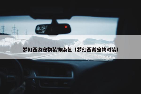 梦幻西游宠物装饰染色（梦幻西游宠物时装）