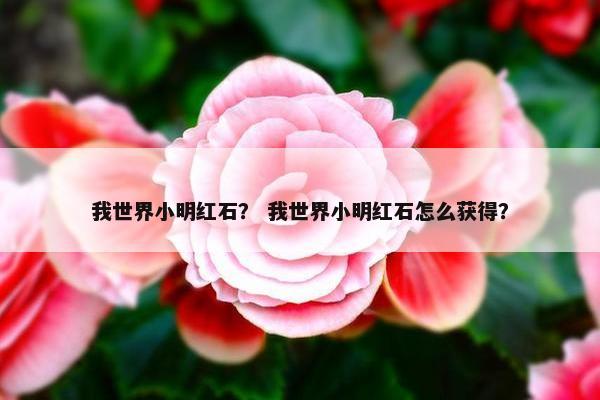 我世界小明红石？ 我世界小明红石怎么获得？
