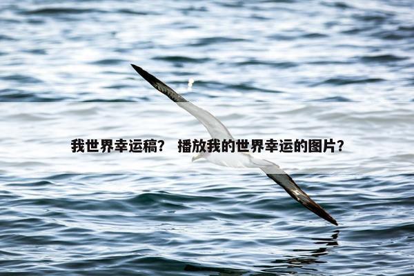 我世界幸运稿？ 播放我的世界幸运的图片？