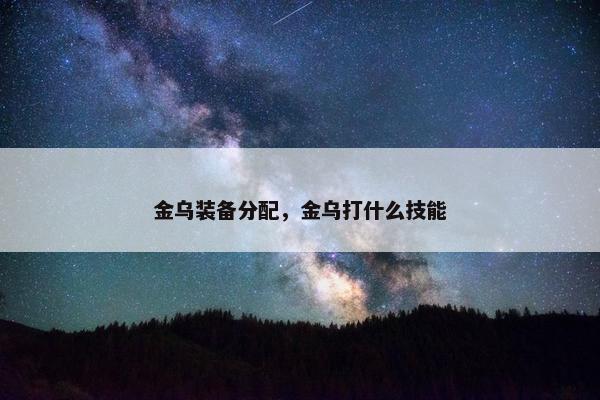 金乌装备分配，金乌打什么技能