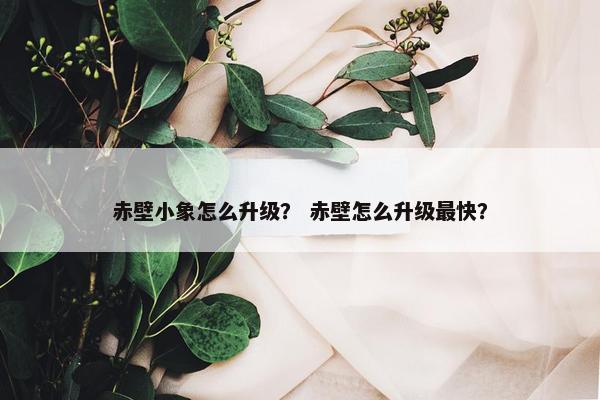 赤壁小象怎么升级？ 赤壁怎么升级最快？