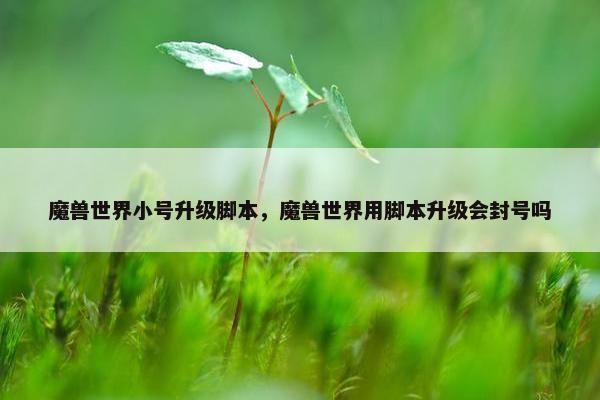 魔兽世界小号升级脚本，魔兽世界用脚本升级会封号吗