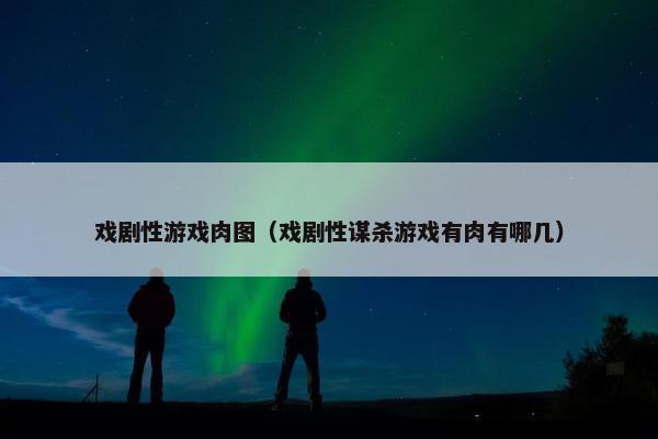 戏剧性游戏肉图（戏剧性谋杀游戏有肉有哪几）