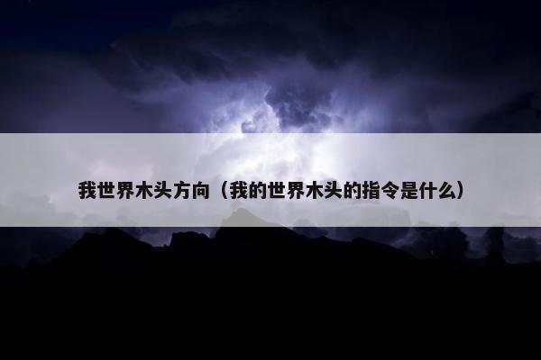 我世界木头方向（我的世界木头的指令是什么）
