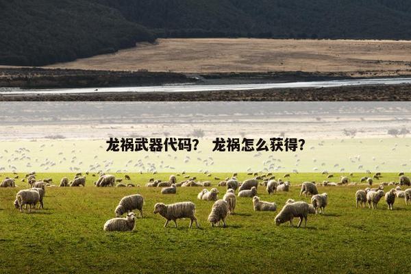 龙祸武器代码？ 龙祸怎么获得？