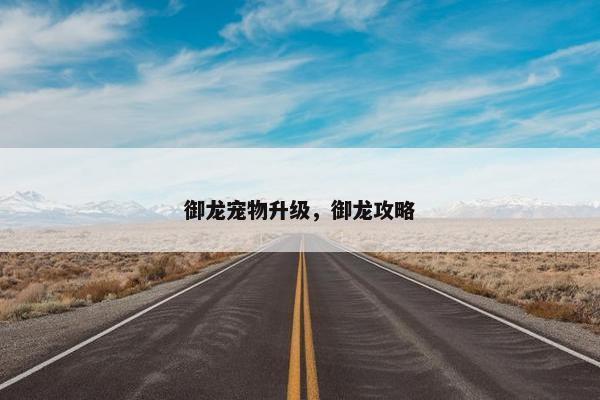 御龙宠物升级，御龙攻略