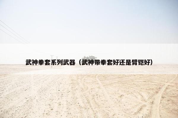 武神拳套系列武器（武神带拳套好还是臂铠好）