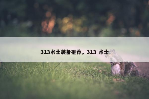 313术士装备推荐，313 术士