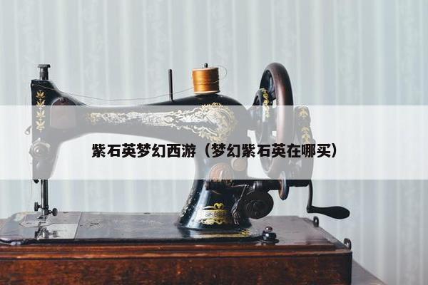 紫石英梦幻西游（梦幻紫石英在哪买）