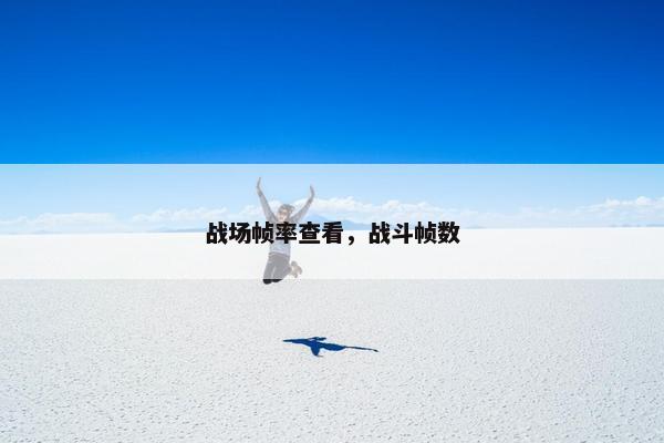 战场帧率查看，战斗帧数