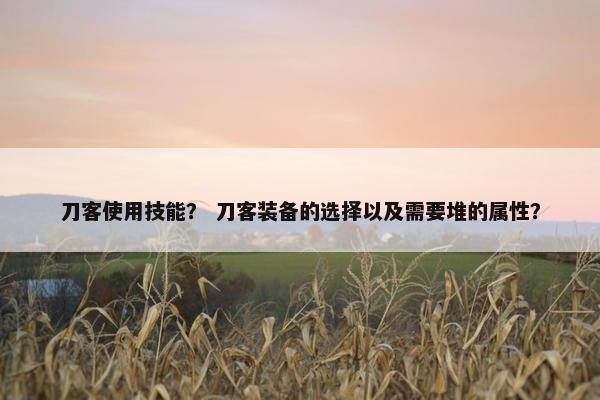 刀客使用技能？ 刀客装备的选择以及需要堆的属性？