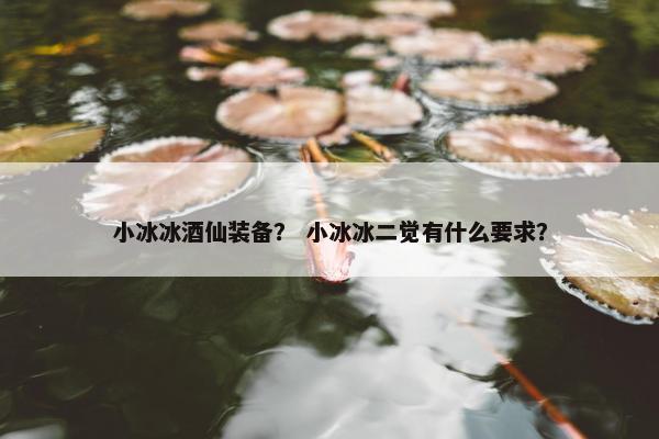 小冰冰酒仙装备？ 小冰冰二觉有什么要求？