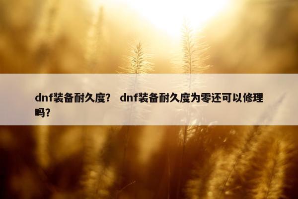 dnf装备耐久度？ dnf装备耐久度为零还可以修理吗？