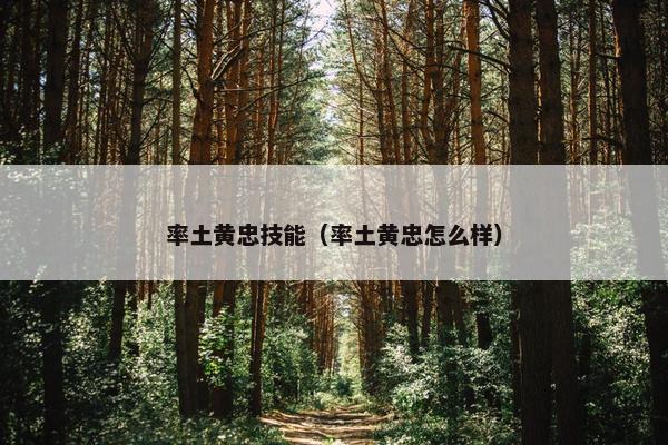 率土黄忠技能（率土黄忠怎么样）