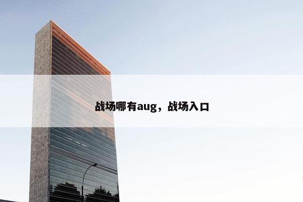 战场哪有aug，战场入口